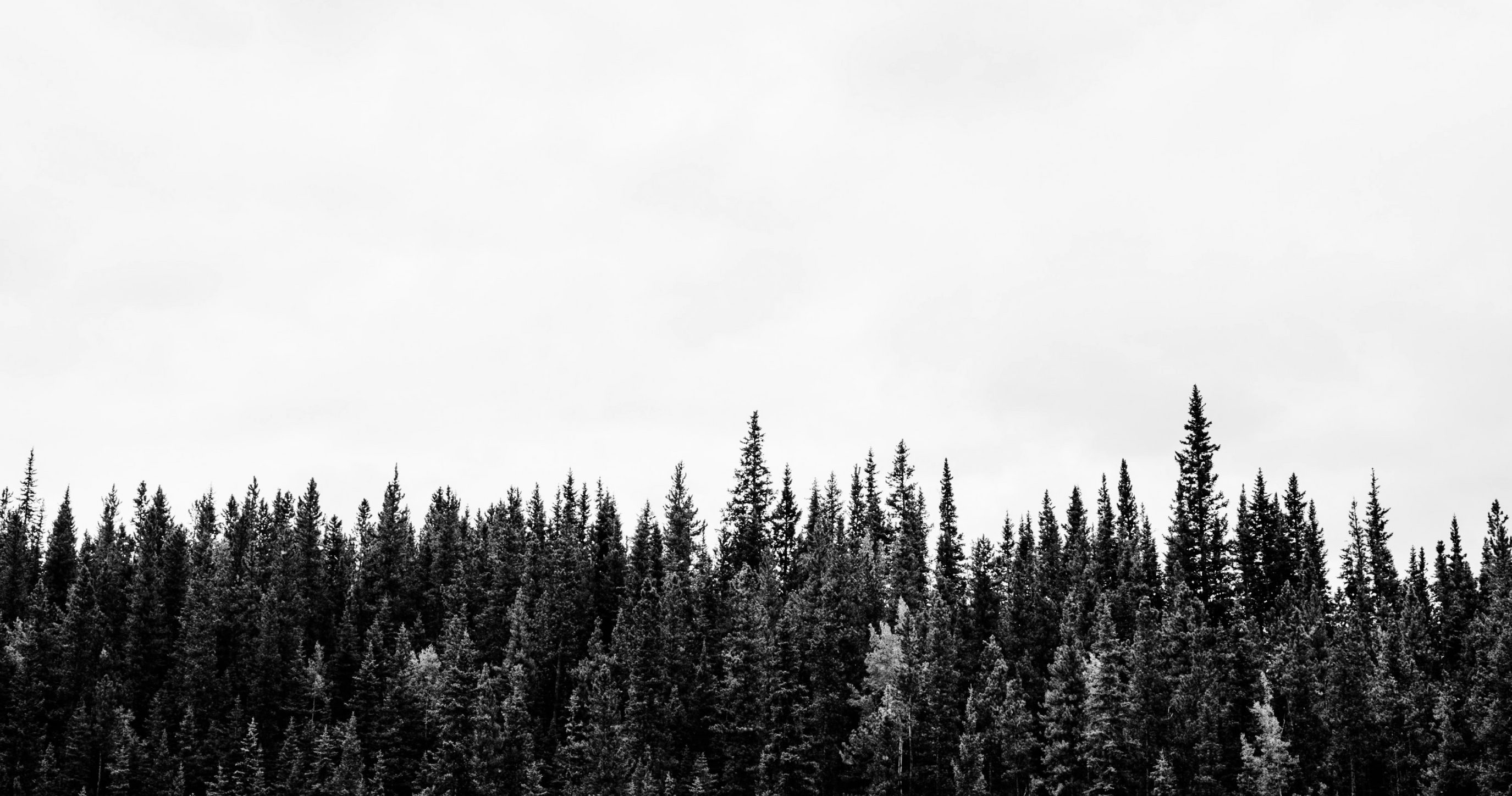 unsplash